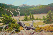 "High Country Resting Place"  24x36"  acrylic on canvas