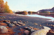 "New Years Day - Tofino inlet"