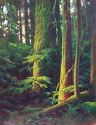 "The Way In - Cathedral Grove"